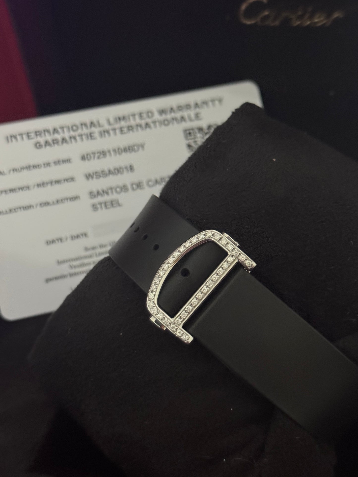 Diamond Cartier Santos  - Large Model